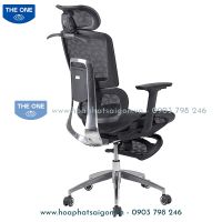 Ghế Công Thái Học GLE13