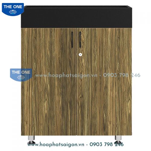 Tủ tài liệu Bright BRI1000-2T2